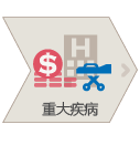重大疾病費用